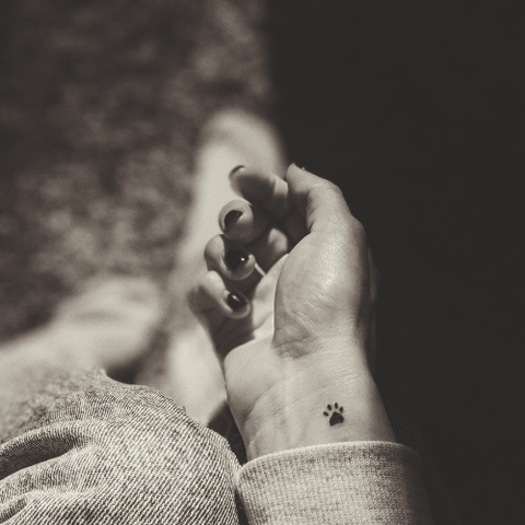 🕯️ Saying Goodbye to a Beloved Pet — Honoring a Bond That Never Fades